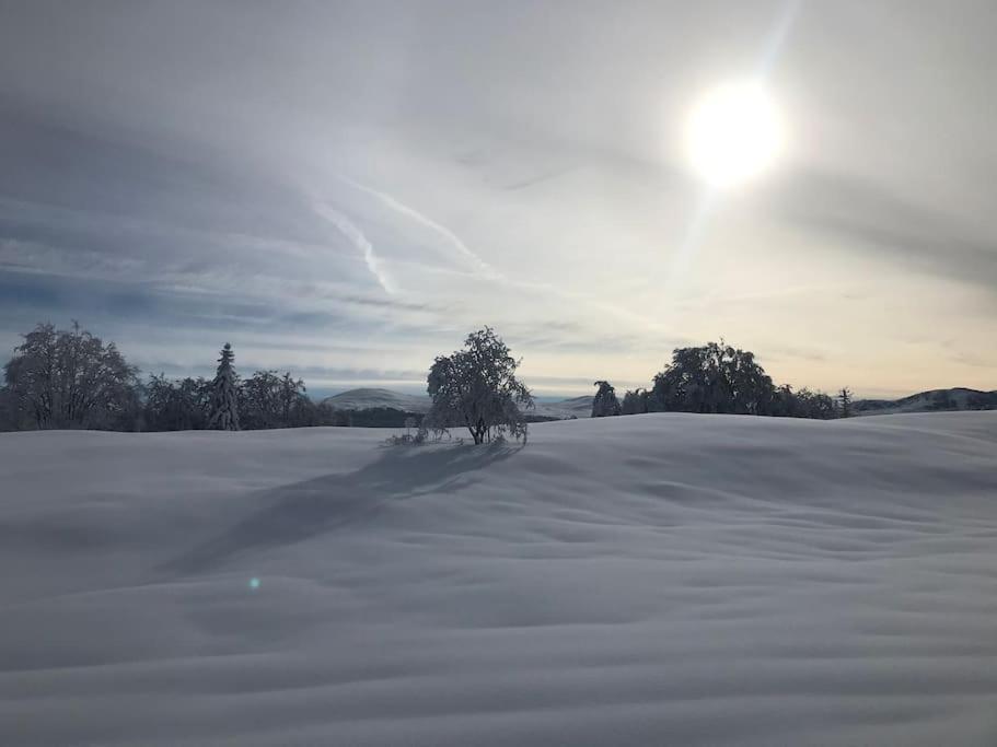 Studio Chaleureux Au Depart Des Sentiers Et Pistes De Ski Lajoux Dış mekan fotoğraf