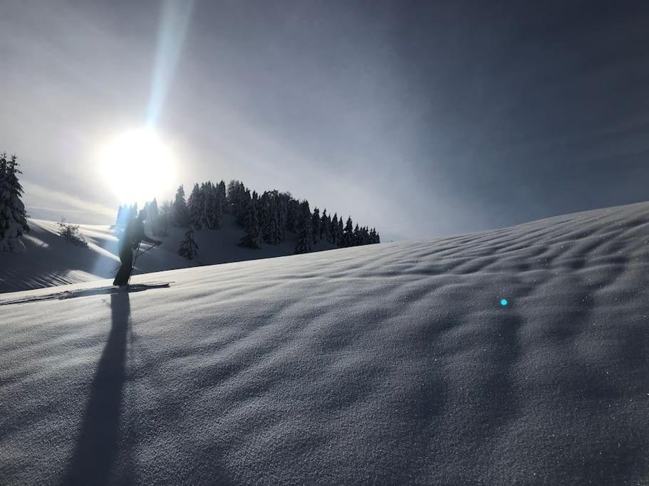 Studio Chaleureux Au Depart Des Sentiers Et Pistes De Ski Lajoux Dış mekan fotoğraf
