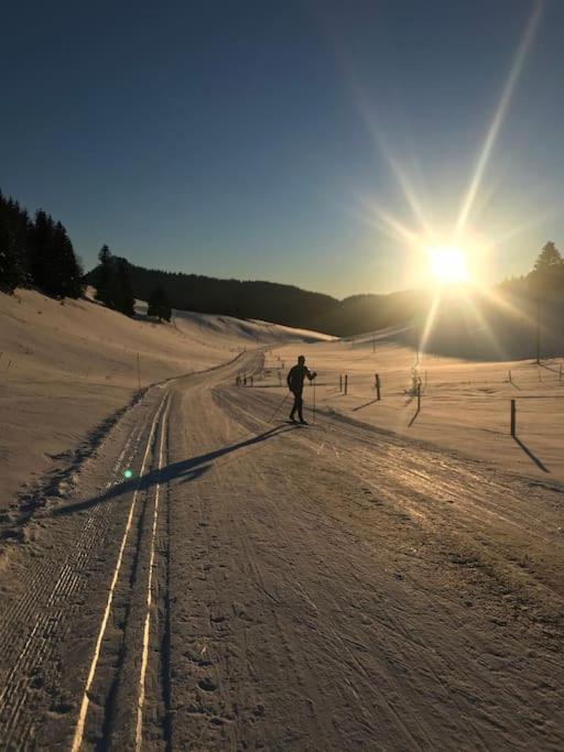 Studio Chaleureux Au Depart Des Sentiers Et Pistes De Ski Lajoux Dış mekan fotoğraf