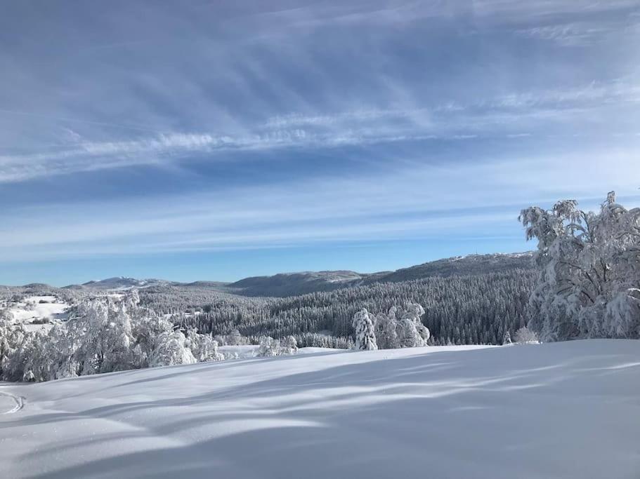 Studio Chaleureux Au Depart Des Sentiers Et Pistes De Ski Lajoux Dış mekan fotoğraf