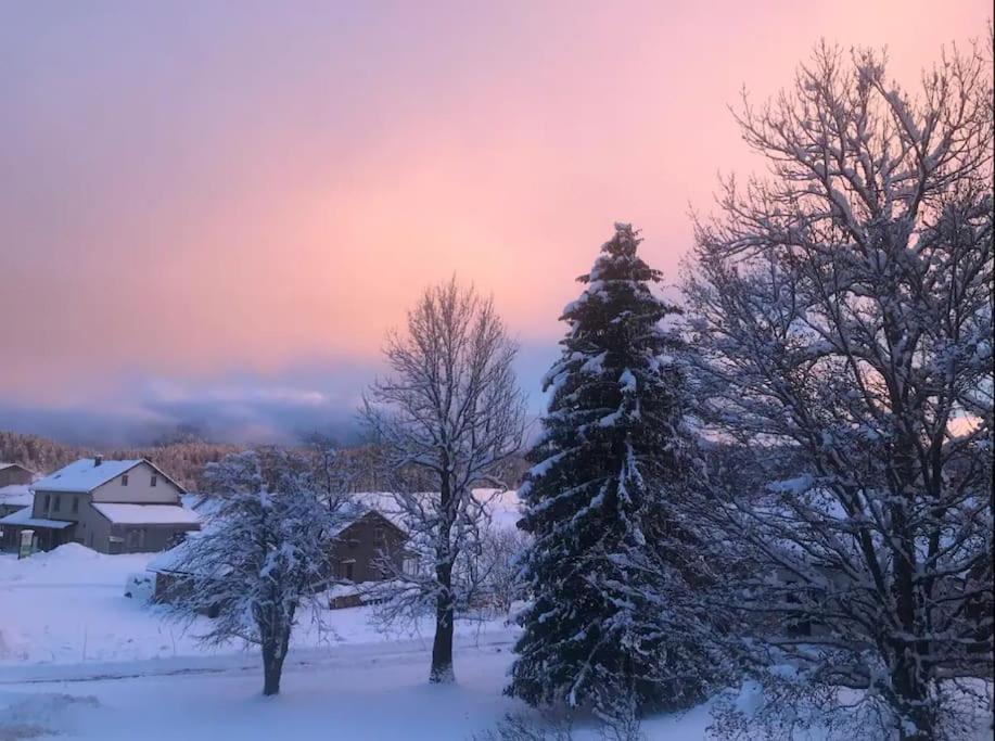 Studio Chaleureux Au Depart Des Sentiers Et Pistes De Ski Lajoux Dış mekan fotoğraf